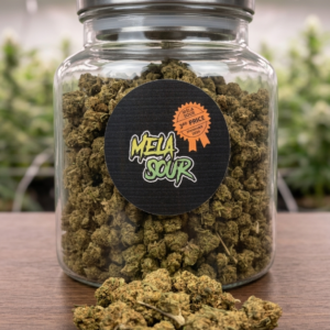 Boutique de fleurs CBD de qualité supérieure livrées en France