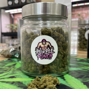 Guide pour savoir quelle fleur CBD choisir quand on débute